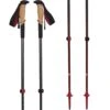 Black Diamond Pursuit Shock Adjustable Trekking Poles