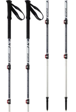 MSR DynaLock Explore Adjustable Ski & Snowboard Poles