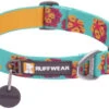 Ruffwear Flat Out Webbing Dog Collar -Outdoor Essentials Shop 25203 flat out collar spring burst web.9fe54a08abb2