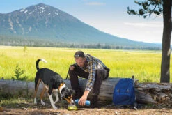 Ruffwear Quencher Dog Water/Food Bowl -Outdoor Essentials Shop 46647724 1111 4f55 a54d 85dbb2c25185140819 ruff 2426 web 1