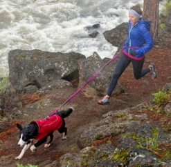 Ruffwear Roamer Leash Stretch Dog Walking Lead -Outdoor Essentials Shop 76d0b441 24c5 4426 a32e e026bf9eea56160505 ruff 11