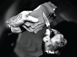 Gerber Wingtip Clip Folding Pocket Knife -Outdoor Essentials Shop 91fc7d4f dbdc 426e a825 10329b46e147wt2