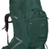 Osprey Aether Plus 100 Expedition Backpack 1 Osprey Aether Plus 100 Expedition Backpack -Outdoor Essentials Shop Aether Plus100 S21 Side Axo Green
