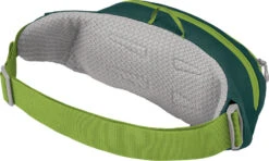 Osprey Daylite Waist Hipbelt Pack -Outdoor Essentials Shop DayliteWaist S23 SideBack EscapadeGreenBaikalGreen10005143