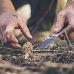 Gerber Asada Folding Pocket Cleaver -Outdoor Essentials Shop Gerber Asada 001