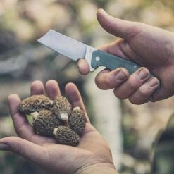 Gerber Asada Folding Pocket Cleaver -Outdoor Essentials Shop Gerber Asada 003s