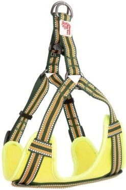Comfort Step-In Dog Harness Padded Pet Harness -Outdoor Essentials Shop Long Paws Comfort Harness Green 1002 1