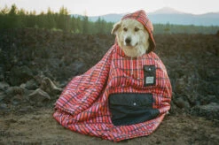 POLER Camp Poncho Reversible Camping Blanket With Hood -Outdoor Essentials Shop PhotoJul31100624AM1