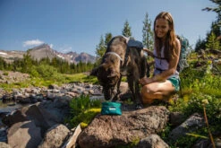 Ruffwear Quencher Dog Water/Food Bowl -Outdoor Essentials Shop WebJPG 20503 Quencher Bowl Teal Soda Creek Print 6 1