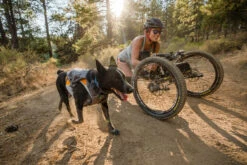 Ruffwear Switchbak Padded Dog Harness + Pockets -Outdoor Essentials Shop WebJPG 3035 Switchbak Harness Anne Bernie DRT Print 39