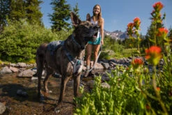 Ruffwear Switchbak Padded Dog Harness + Pockets -Outdoor Essentials Shop WebJPG 3035 Switchbak Harness Granite Gray Soda Creek Print 109