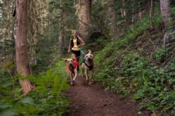 Ruffwear Switchbak Padded Dog Harness + Pockets -Outdoor Essentials Shop WebJPG 3035 Switchbak Harness Nina Running Print 25