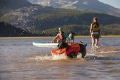 Ruffwear Float Coat Life Jacket Dog Buoyancy Aid -Outdoor Essentials Shop WebJPG 45103 Float Coat Sparks Lake Print 70