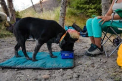 Ruffwear Quencher Dog Water/Food Bowl -Outdoor Essentials Shop WebJPG Deschutes River Rafting Print 7 1