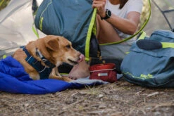 Ruffwear Front Range Collar Webbing Dog Collar -Outdoor Essentials Shop WebJPG Front Range Monica Ethan Giles Alta Print 26 1