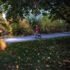 Ledlenser HF4R CORE Rechargeable Head Torch -Outdoor Essentials Shop core5