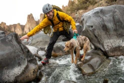 Ruffwear Flagline Lightweight Pet Dog Harness -Outdoor Essentials Shop d9b33160 feca 462a 9a79 d7473088d6d5Web 3055 Flagline Harness Meltwater Teal Rock Climbing 07