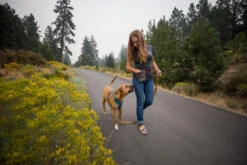 Ruffwear Treat Trader Dog Training Waist-Worn Bag -Outdoor Essentials Shop daca9296 4308 4359 8692 5ffd9a0c1fc6IMG 2564 PRINT