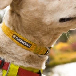 Ruffwear Hi & Light Collar Lightweight Dog Collar -Outdoor Essentials Shop it129