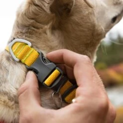 Ruffwear Hi & Light Collar Lightweight Dog Collar -Outdoor Essentials Shop it130