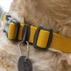Ruffwear Hi & Light Collar Lightweight Dog Collar -Outdoor Essentials Shop it131