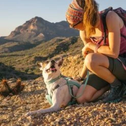 Ruffwear Hi & Light Collar Lightweight Dog Collar -Outdoor Essentials Shop it136