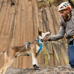 Ruffwear Hi & Light Collar Lightweight Dog Collar -Outdoor Essentials Shop it137