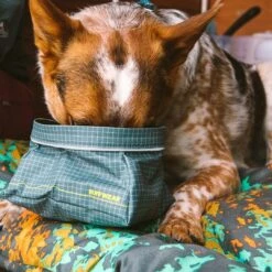Ruffwear Great Basin Collapsible Dog Bowl