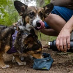 Ruffwear Great Basin Collapsible Dog Bowl -Outdoor Essentials Shop it159b