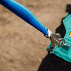 Ruffwear Roamer Leash Stretch Dog Walking Lead -Outdoor Essentials Shop it172