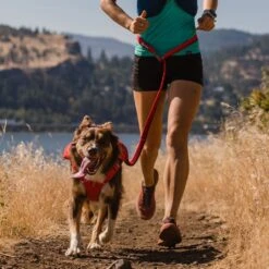 Ruffwear Roamer Leash Stretch Dog Walking Lead -Outdoor Essentials Shop it175