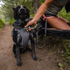 Ruffwear Roamer Leash Stretch Dog Walking Lead -Outdoor Essentials Shop it176