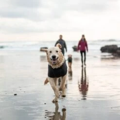 Ruffwear Fernie Dog Sweater Knit Fleece -Outdoor Essentials Shop it183a