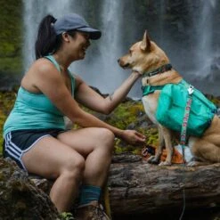 Ruffwear Flat Out Webbing Dog Collar -Outdoor Essentials Shop it185 1