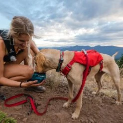 Ruffwear Flat Out Webbing Dog Collar -Outdoor Essentials Shop it186