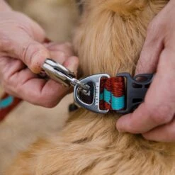 Ruffwear Flat Out Webbing Dog Collar -Outdoor Essentials Shop it187 1