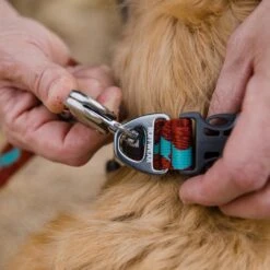 Ruffwear Flat Out Webbing Dog Collar -Outdoor Essentials Shop it187