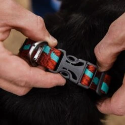 Ruffwear Flat Out Webbing Dog Collar -Outdoor Essentials Shop it188