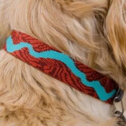 Ruffwear Flat Out Webbing Dog Collar -Outdoor Essentials Shop it189 1