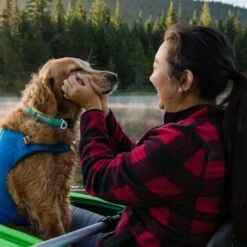 Ruffwear Front Range Collar Webbing Dog Collar -Outdoor Essentials Shop it196a