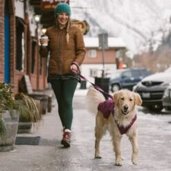 Ruffwear Stumptown Jacket Insulated Dog Coat -Outdoor Essentials Shop it234