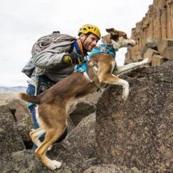 Ruffwear Flagline Lightweight Pet Dog Harness -Outdoor Essentials Shop it67