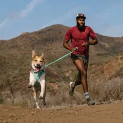 Ruffwear Hi & Light Harness Dog Harness -Outdoor Essentials Shop it90