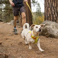 Ruffwear Hi & Light Harness Dog Harness -Outdoor Essentials Shop it91