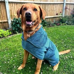 Dog Robe Microfibre Drying Coat -Outdoor Essentials Shop jjet0517