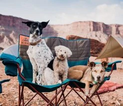 Kelty Loveseat Low Padded Double Camping Chair -Outdoor Essentials Shop jjet1130