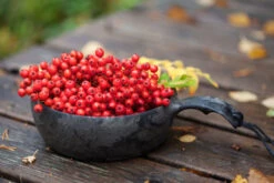 Kupilka Bowl 55 Eco-Friendly Camp Soup Bowl -Outdoor Essentials Shop kupilka eco dishware bowl k55 web