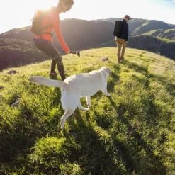 GoPro Karma Grip Gimbal For Cameras -Outdoor Essentials Shop sxgh39