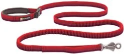 Ruffwear Roamer Leash Stretch Dog Walking Lead -Outdoor Essentials Shop web 40354 roamer leash red sumac.3f98adee3801 1