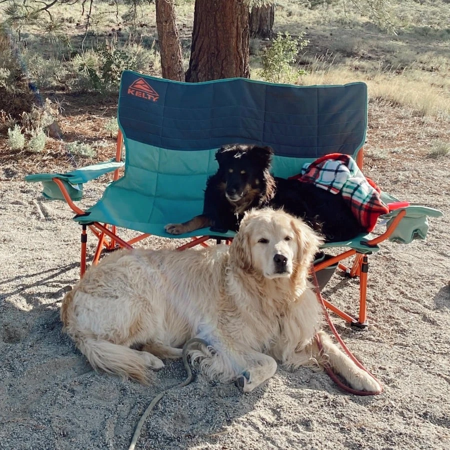 Kelty Loveseat Padded Double Camping Chair 9 Kelty Loveseat Padded Double Camping Chair - Image 7